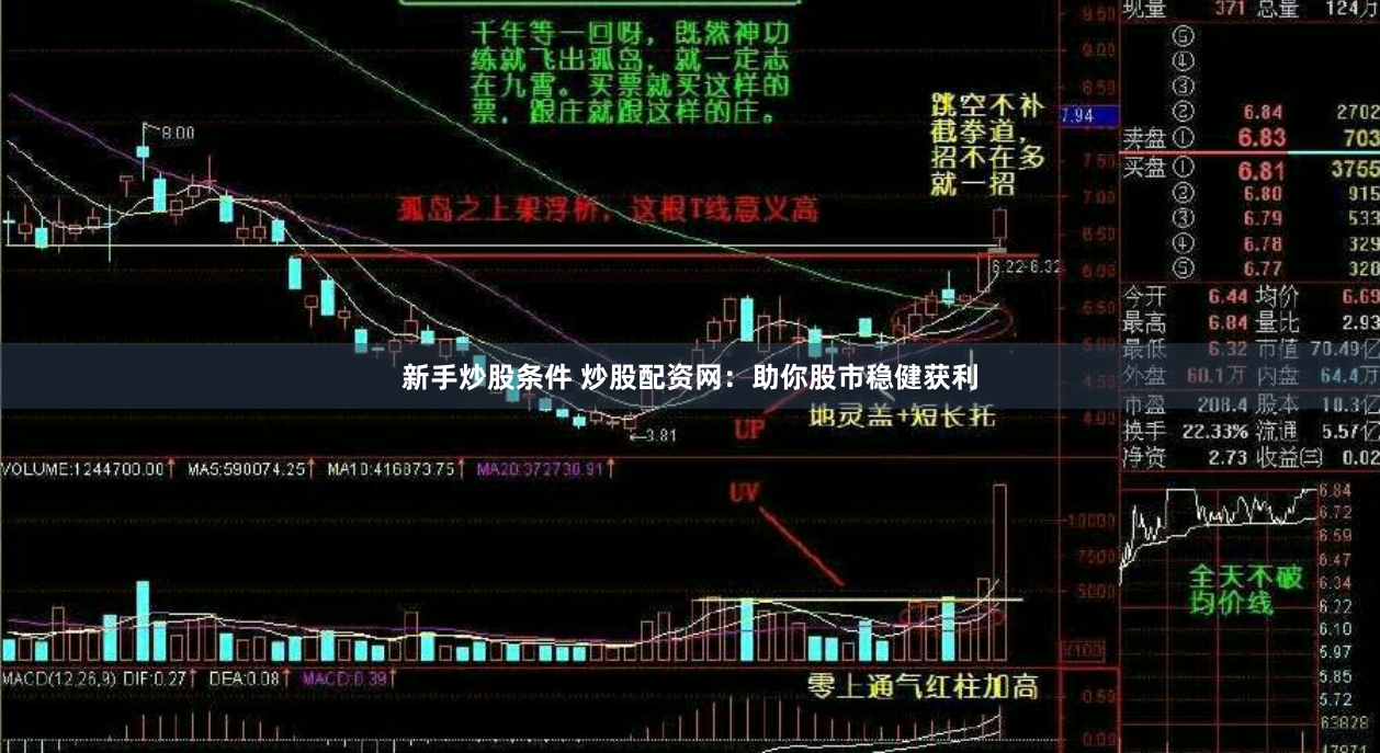 新手炒股条件 炒股配资网：助你股市稳健获利