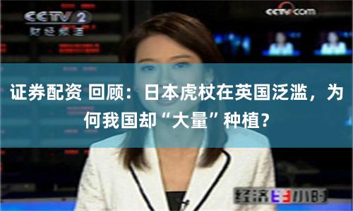 证券配资 回顾：日本虎杖在英国泛滥，为何我国却“大量”种植？