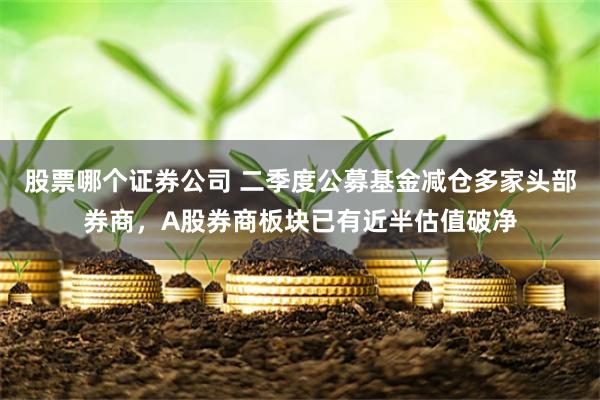 股票哪个证券公司 二季度公募基金减仓多家头部券商，A股券商板块已有近半估值破净