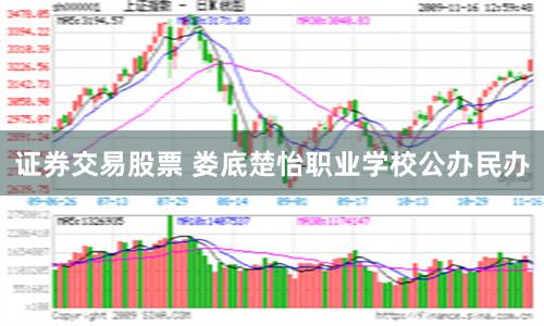 证券交易股票 娄底楚怡职业学校公办民办
