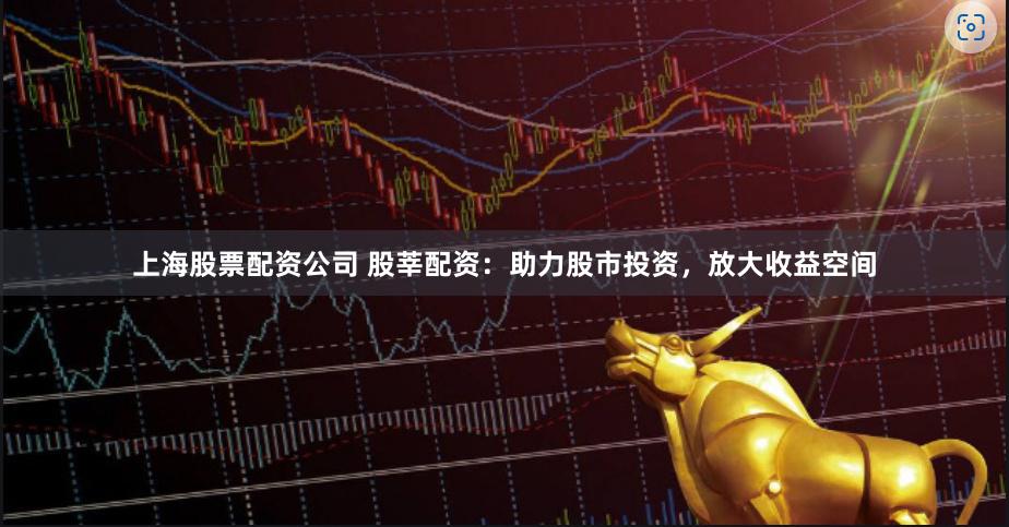 上海股票配资公司 股莘配资：助力股市投资，放大收益空间