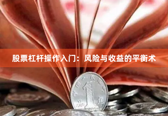 股票杠杆操作入门：风险与收益的平衡术